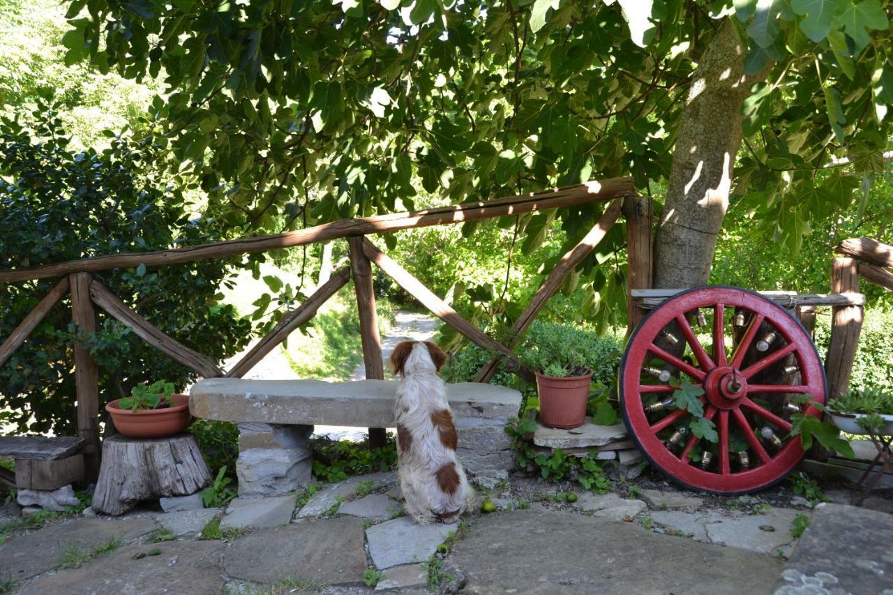 B&B Il Palazzo Sansepolcro Esterno foto
